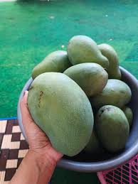Mangga Harum Manis